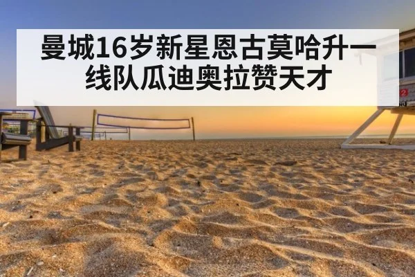 曼城16岁新星恩古莫哈升一线队瓜迪奥拉赞天才
