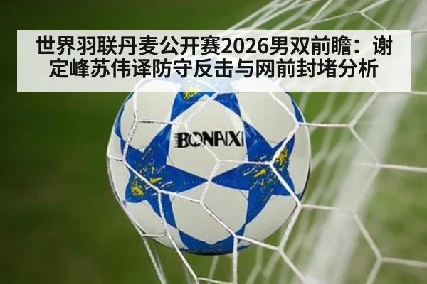 世界羽联丹麦公开赛2026男双前瞻：谢定峰苏伟译防守反击与网前封堵分析